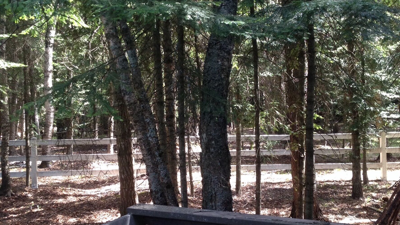 Photo of Others in Bigfork