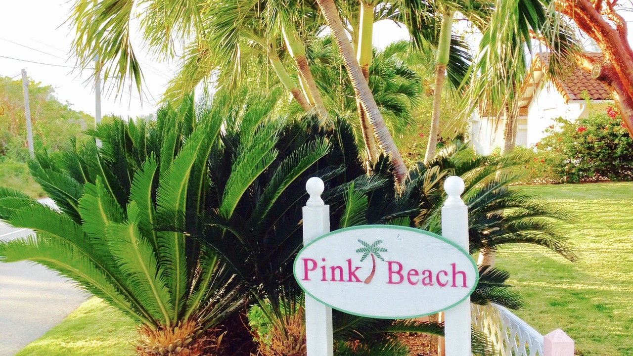 Photo of Outdoor in Rum Point