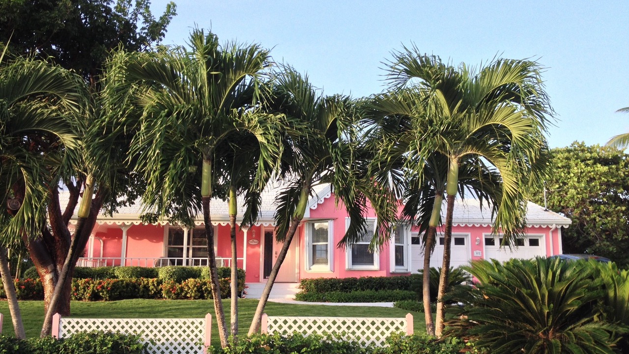 Photo of Outdoor in Rum Point