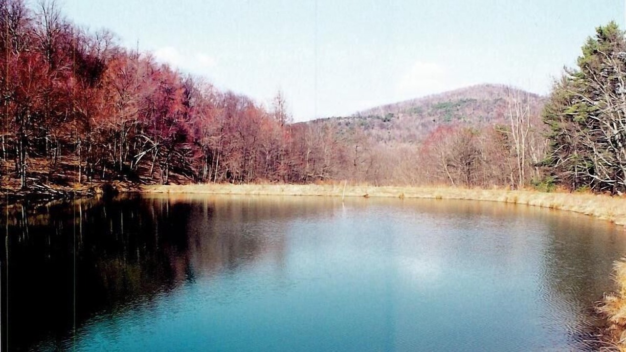 Photo of Others in Stanley