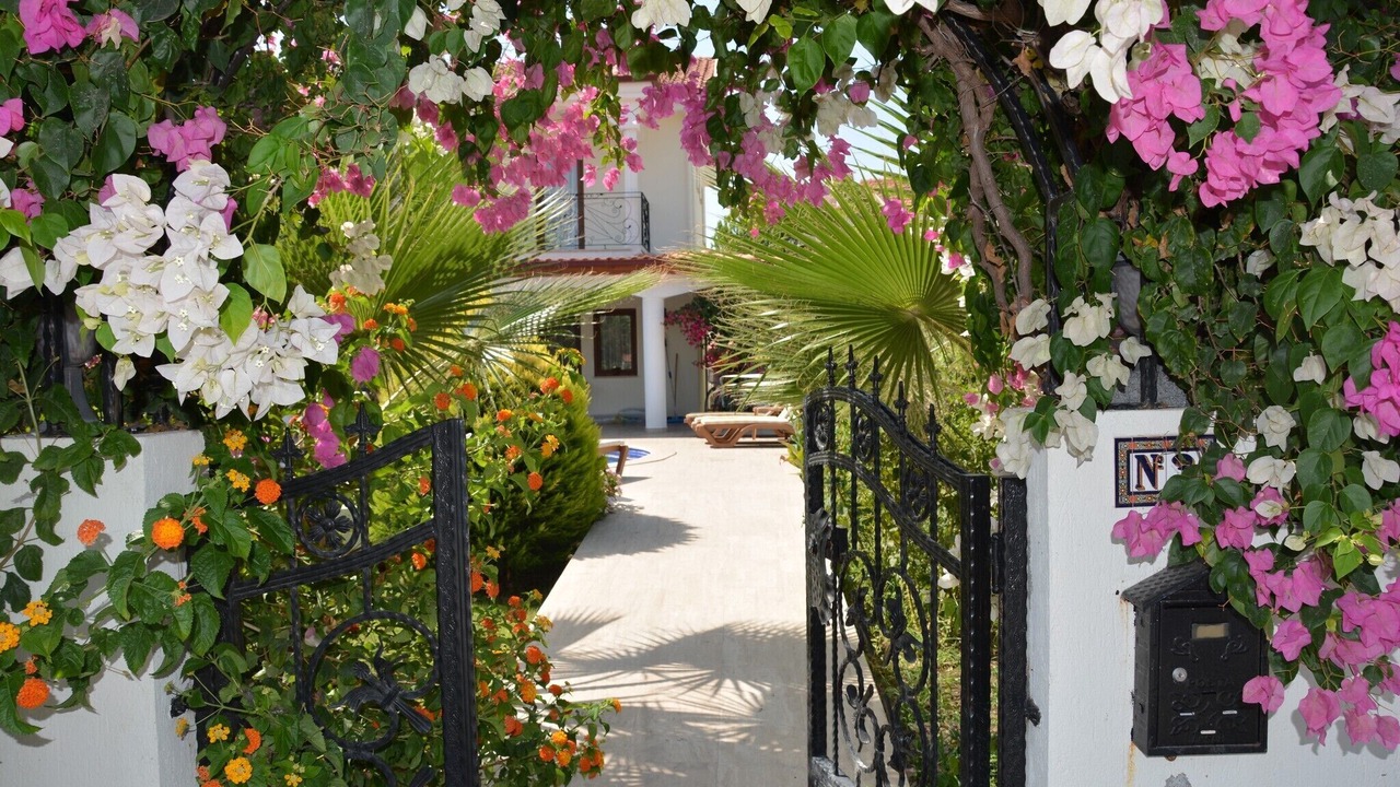 Photo of Outdoor in Dalyan City Center