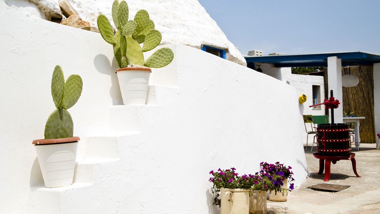 Photo of Others in Martina Franca