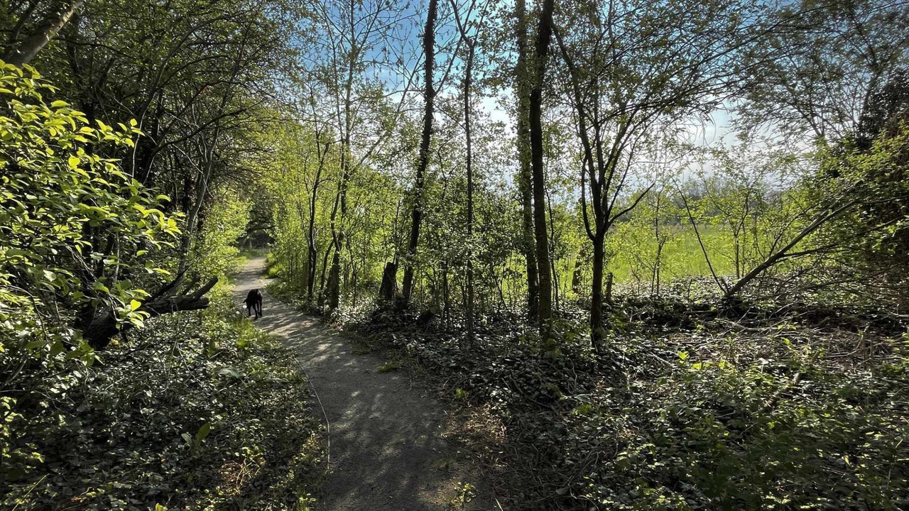 Photo of Outdoor in Paewesin