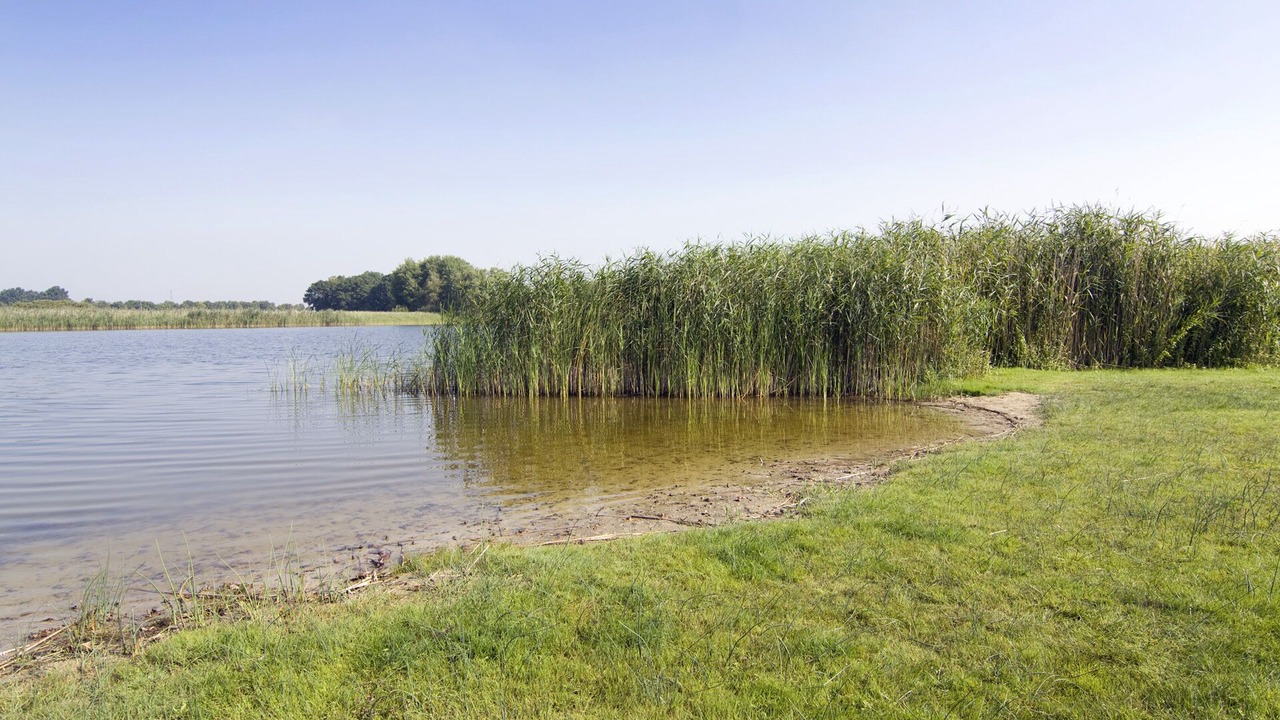 Photo of Outdoor in Paewesin