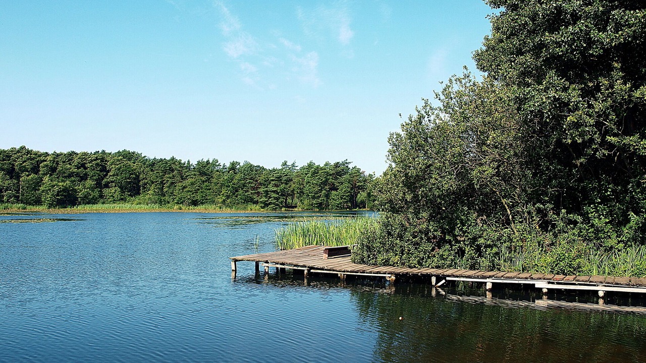 Photo of Outdoor in Kopalino