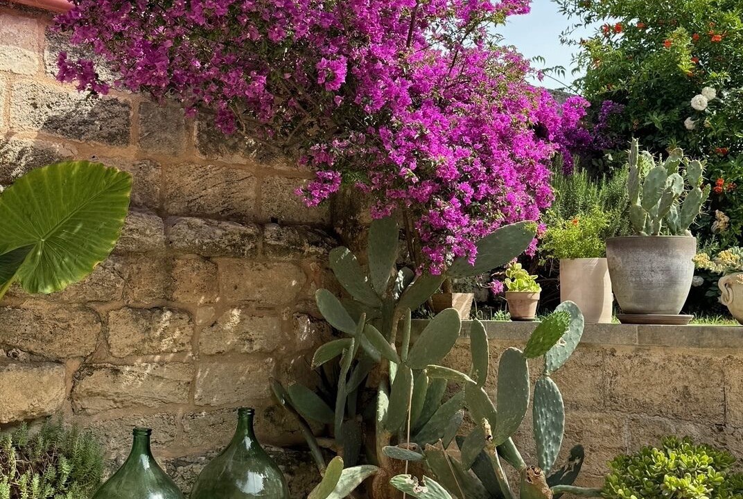 Photo of Outdoor in Spongano