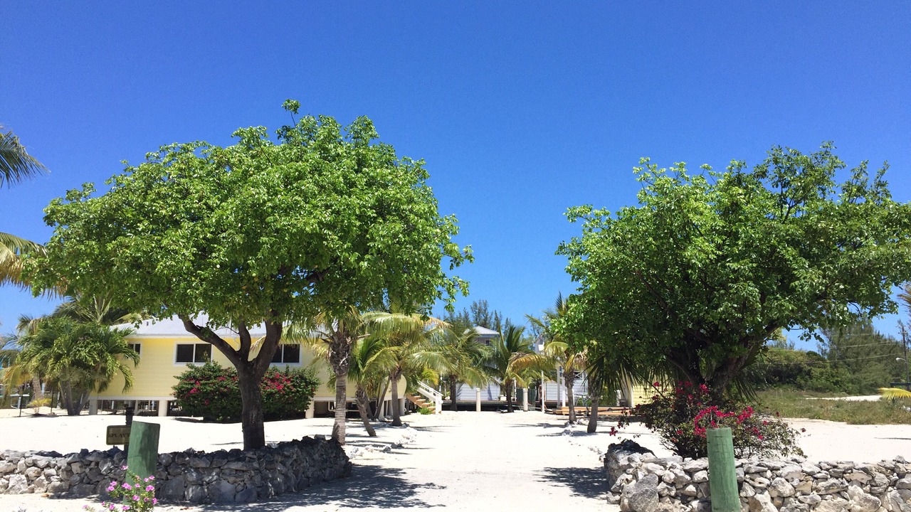 Photo of Others in Port Royal