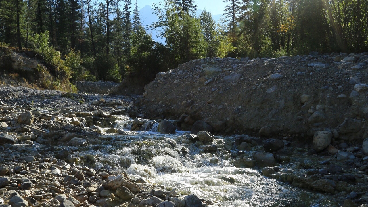 Photo of Others in East Kootenay