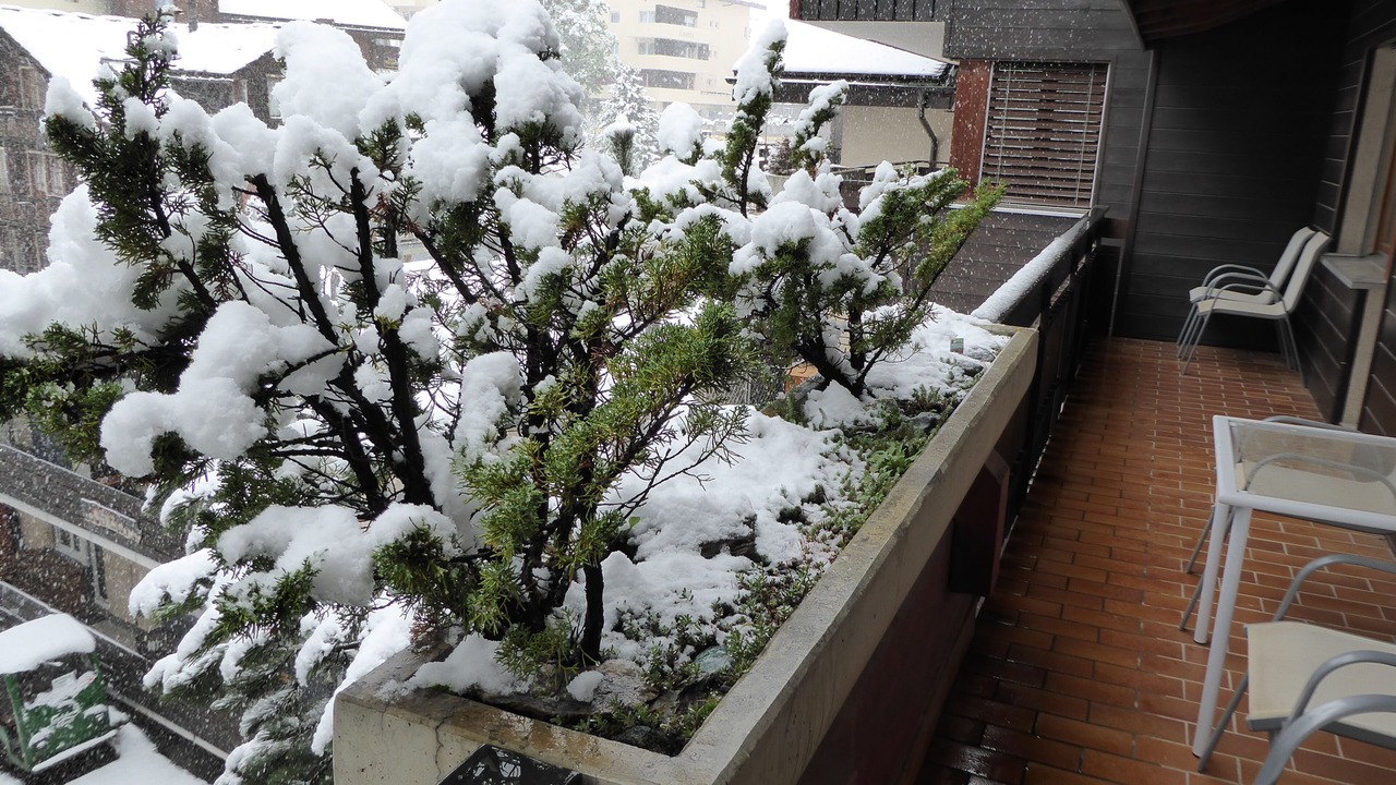 Photo of Patio Balcony in Zermatt City Centre