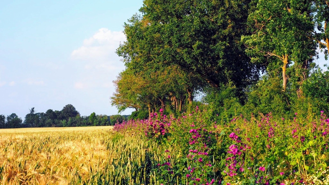 Photo of Outdoor in Abbendorf