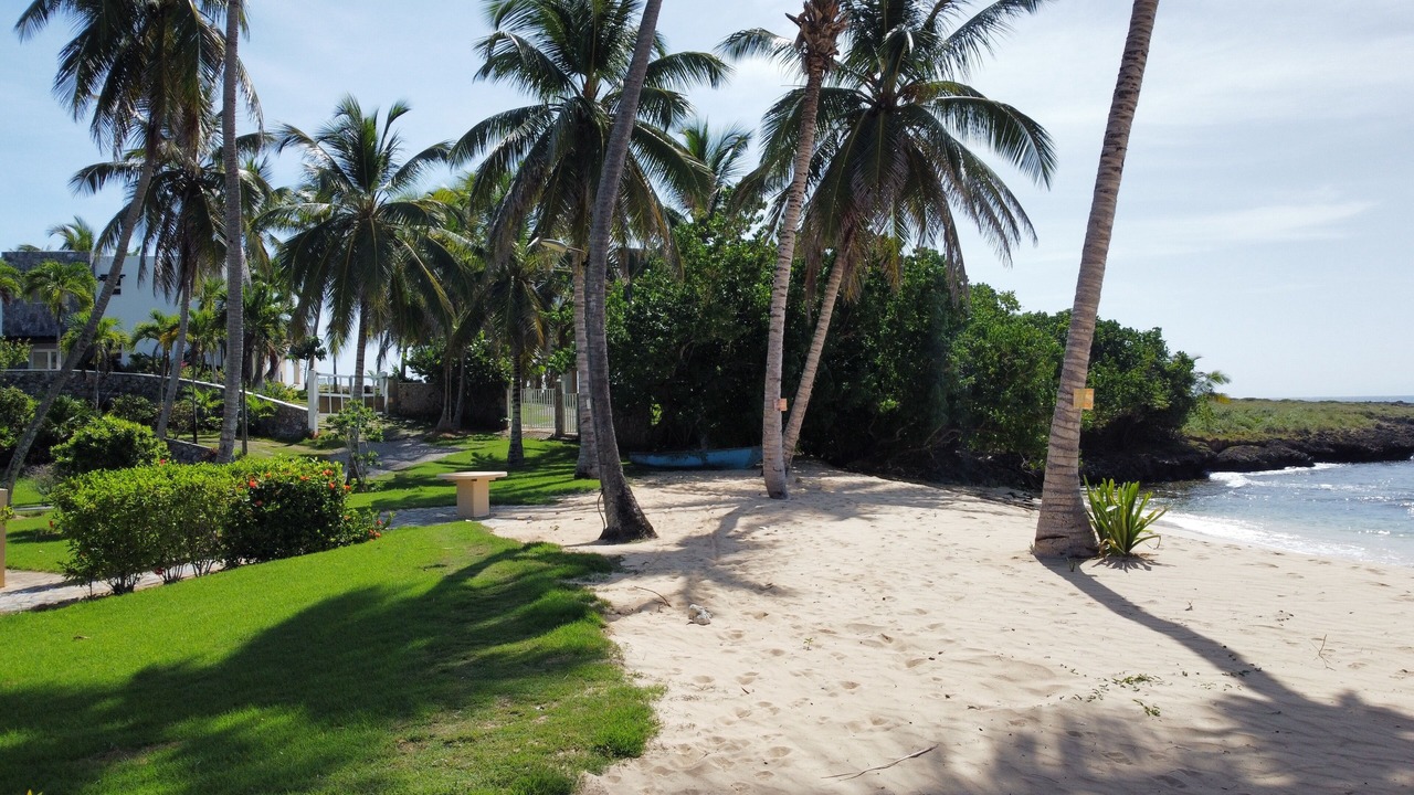 Photo of Others in El Frances
