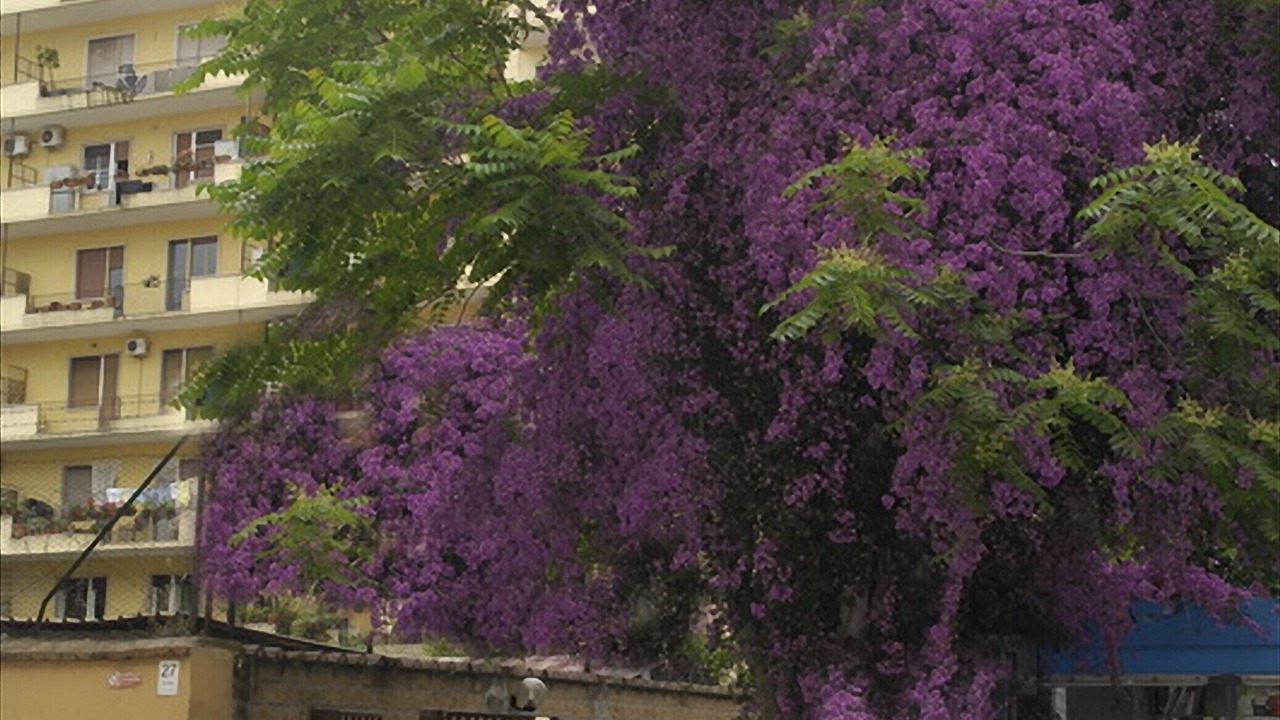 Photo of Outdoor in San Giovanni