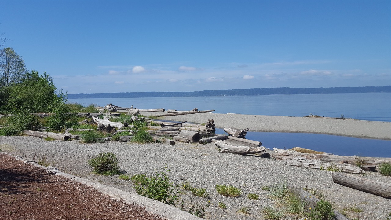 Photo of Others in Three Tree Point