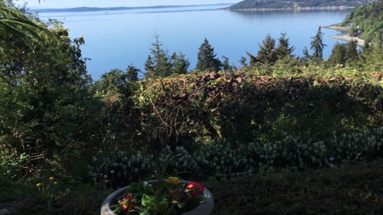 Photo of Others in Three Tree Point