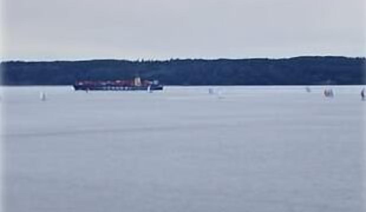 Photo of Others in Seahurst