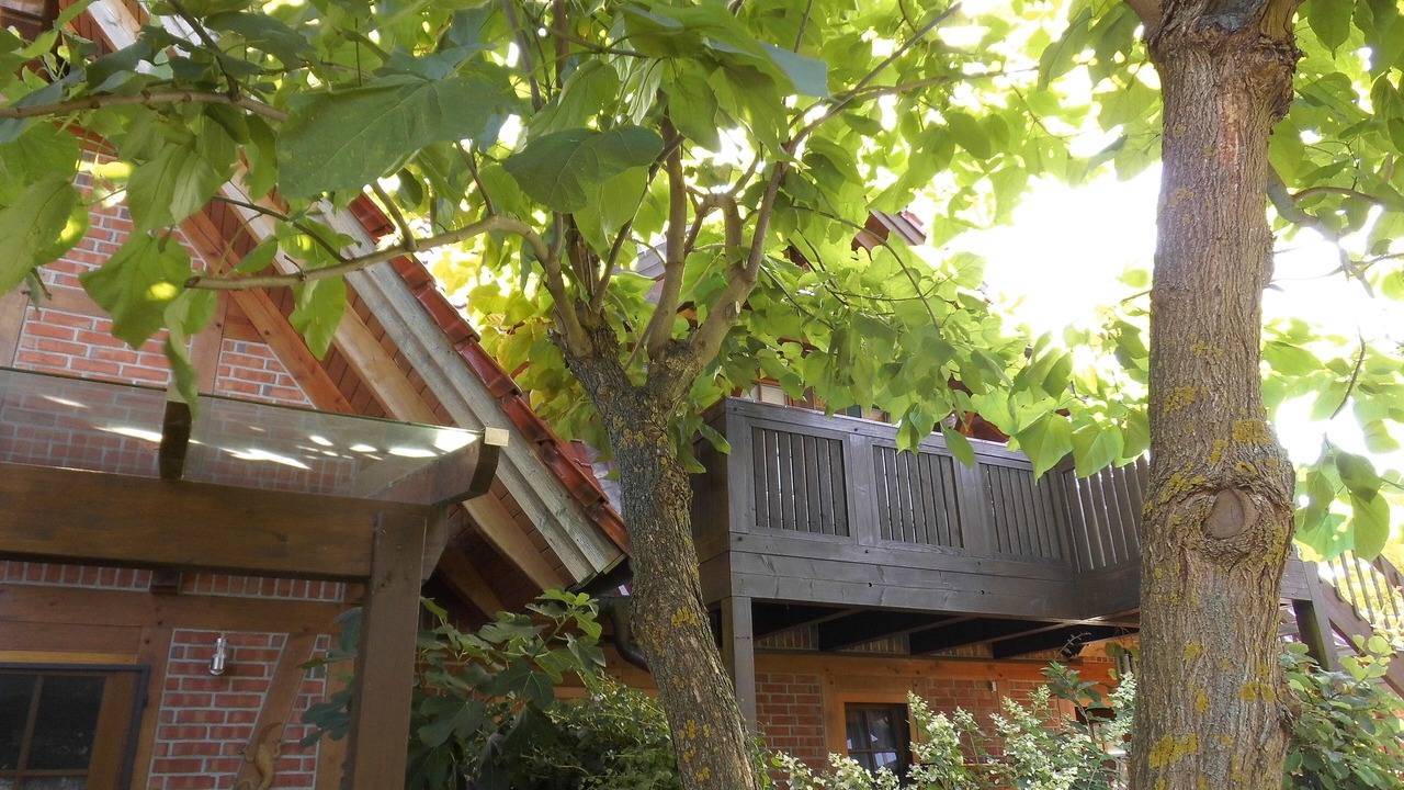 Photo of Outdoor in Hodenhagen