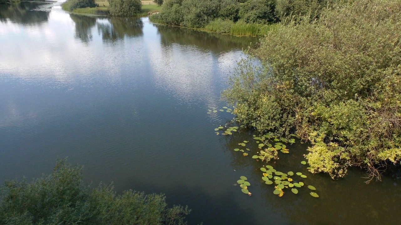Photo of Others in Hodenhagen