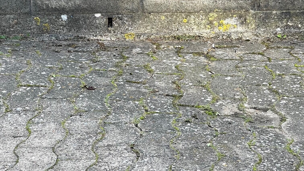 Photo of Outdoor in Altenhagen