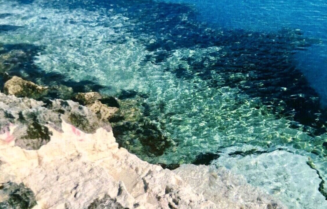 Photo of Others in Rainbow Bay