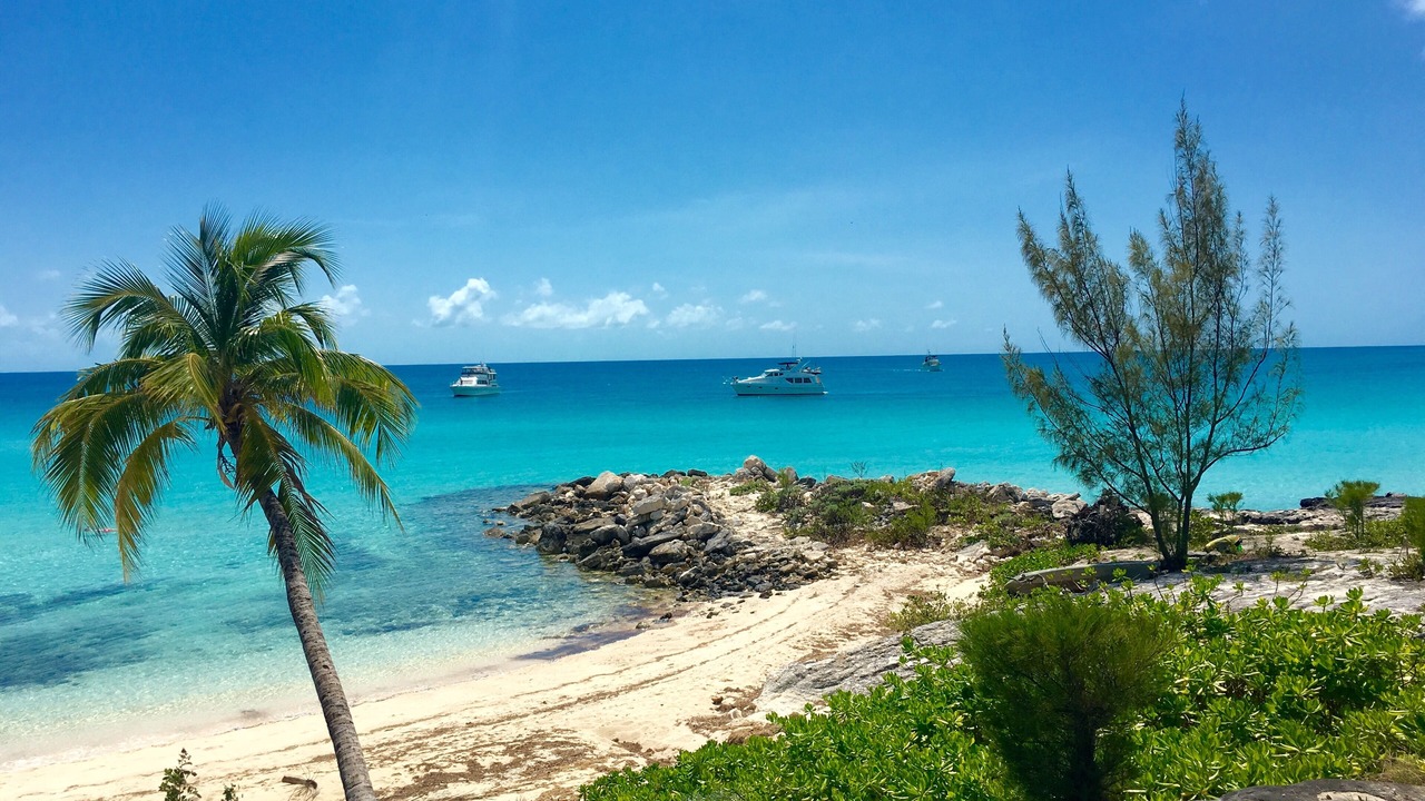 Photo of Others in Rainbow Bay