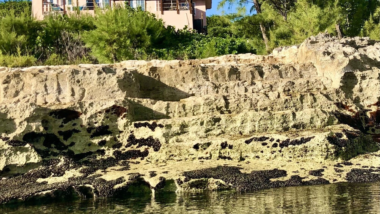 Photo of Others in Rainbow Bay