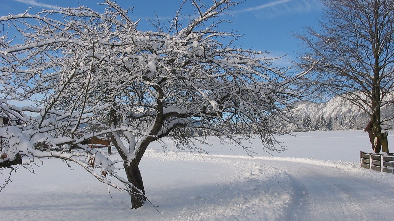 Photo of Others in Wildermieming