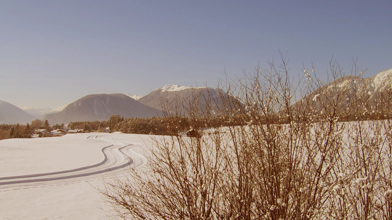 Photo of Others in Wildermieming