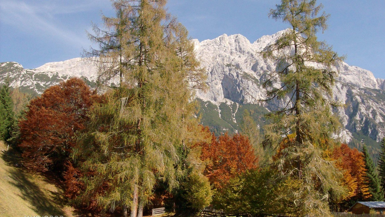Photo of Outdoor in Wildermieming