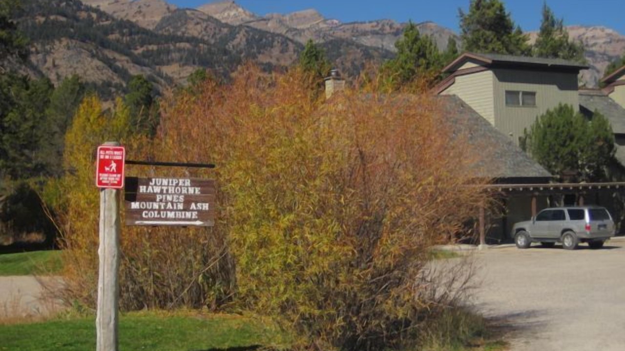 Photo of Outdoor in Moose Wilson Road