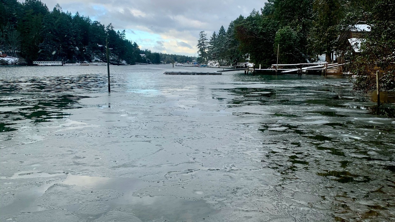 Photo of Others in Sturdies Bay