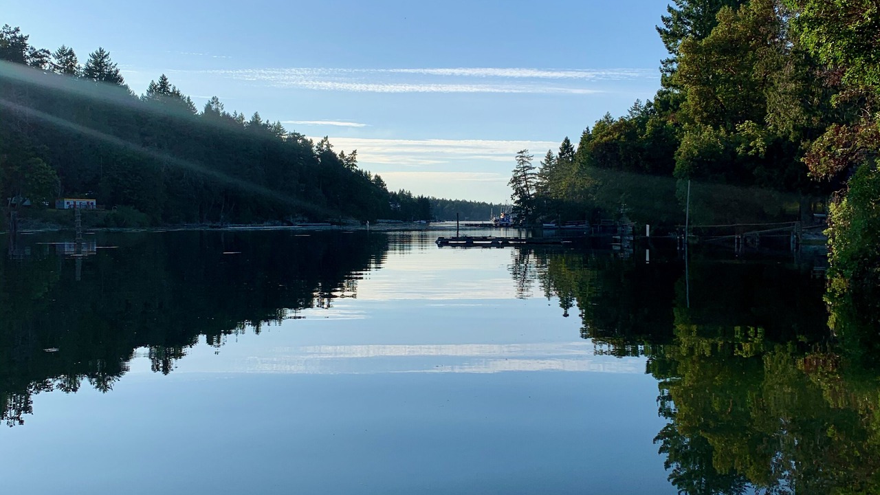 Photo of Others in Sturdies Bay
