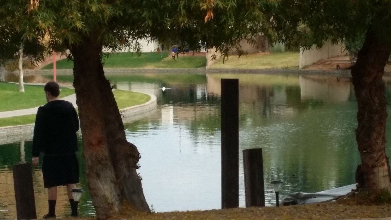 Photo of Others in Dobson Ranch