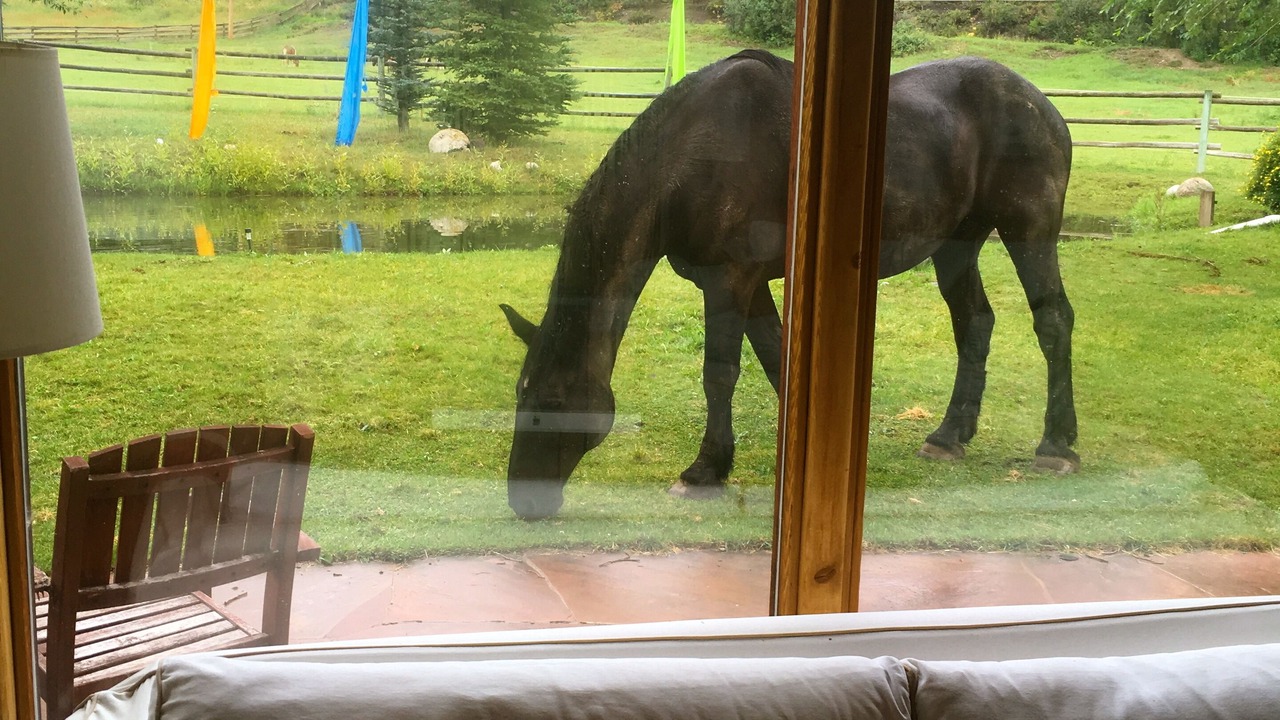 Photo of Others in Snowmass