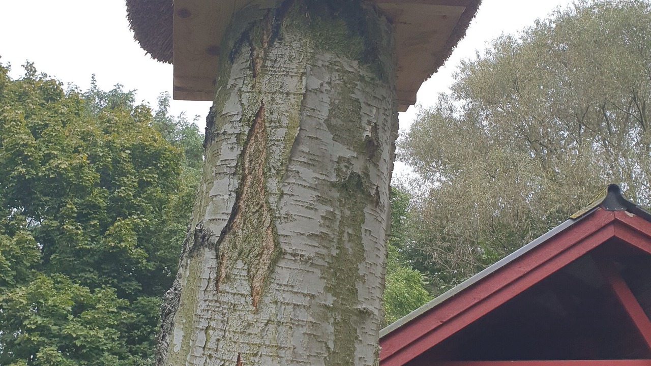Photo of Outdoor in Gartow