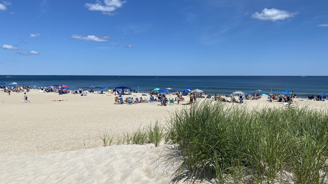 Photo of Others in Seabrook