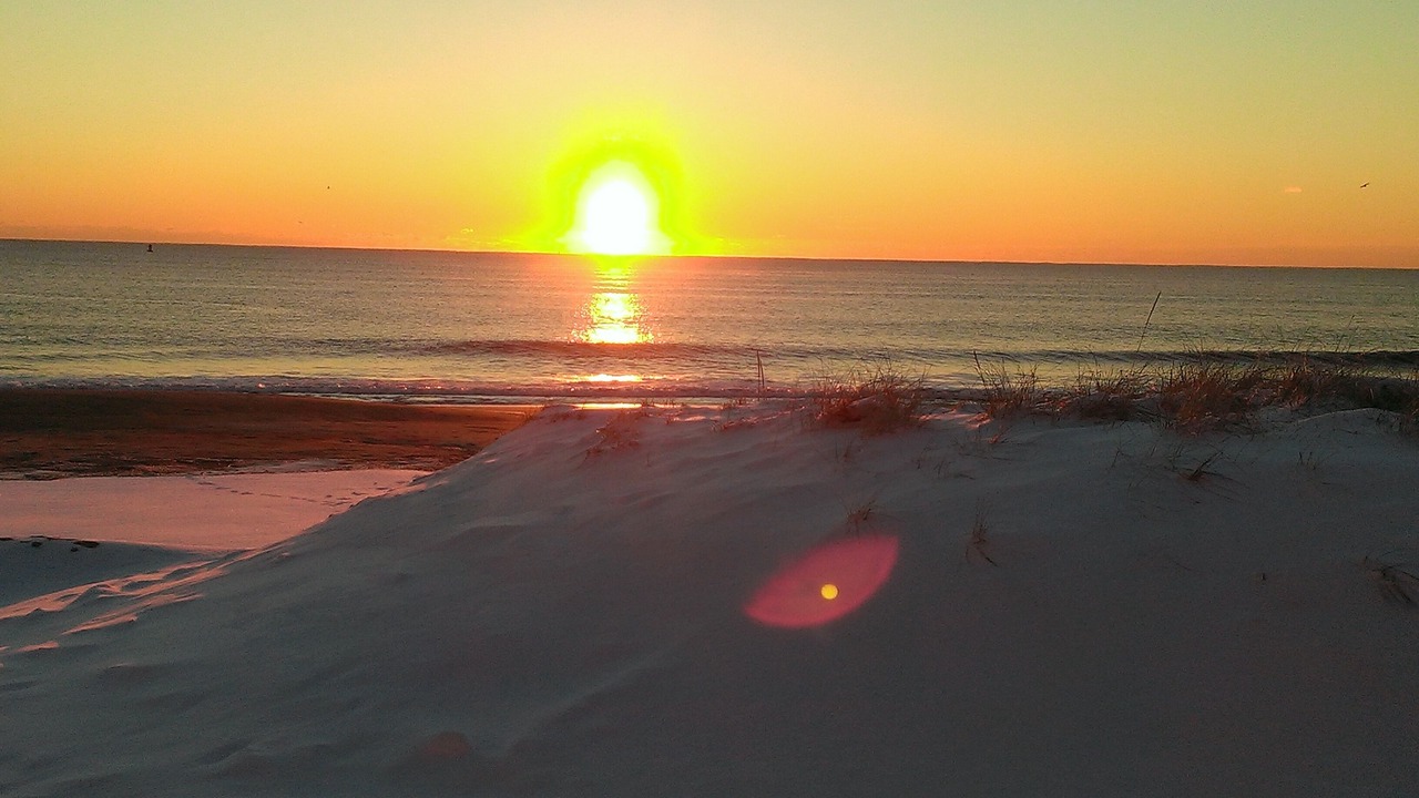 Photo of Others in Seabrook