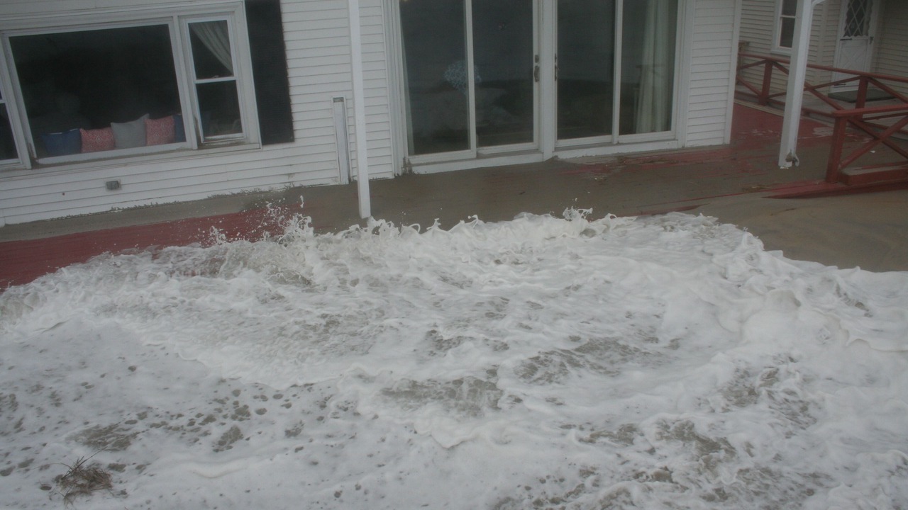 Photo of Others in Seabrook