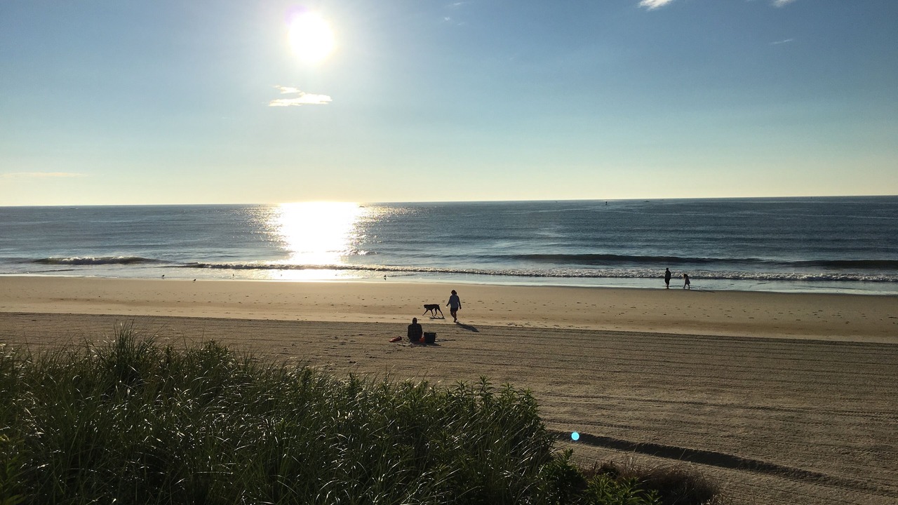 Photo of Others in Seabrook