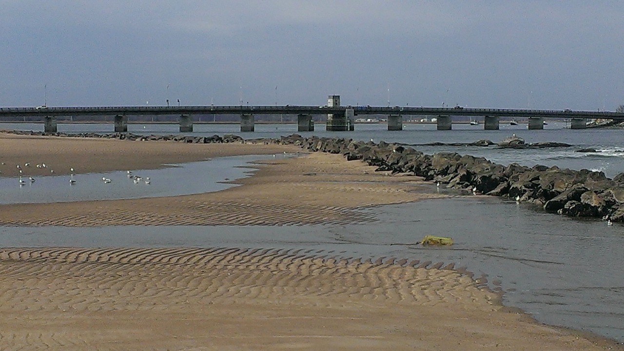 Photo of Others in Seabrook
