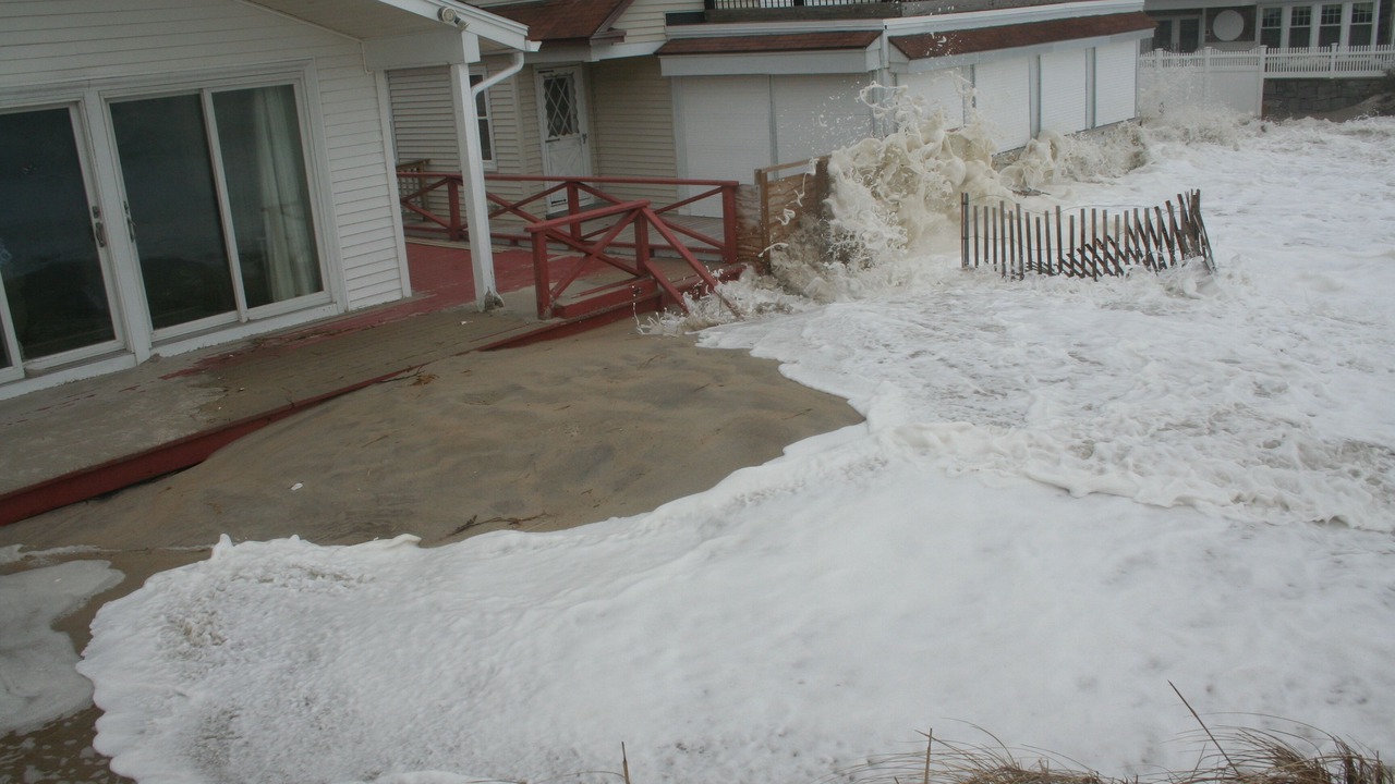 Photo of Others in Seabrook