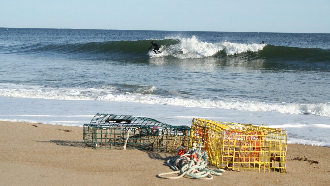 Photo of Others in Seabrook