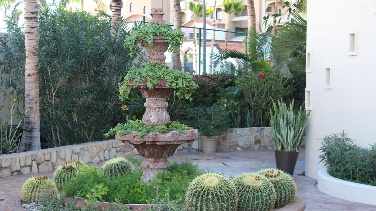Photo of Others in San Jose del Cabo