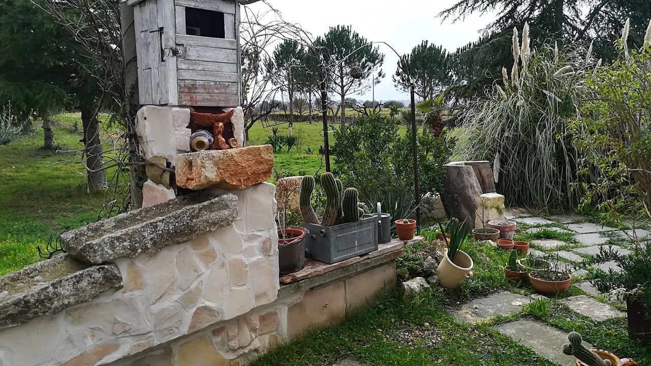 Photo of Outdoor in Martina Franca