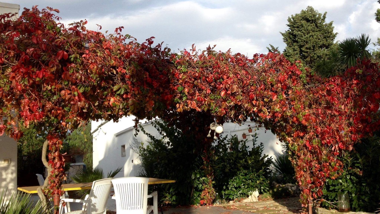 Photo of Outdoor in Martina Franca