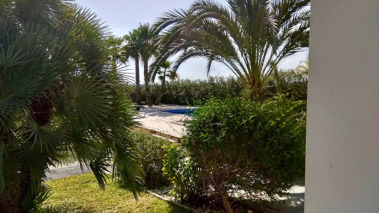 Photo of Outdoor in Valverde Alto