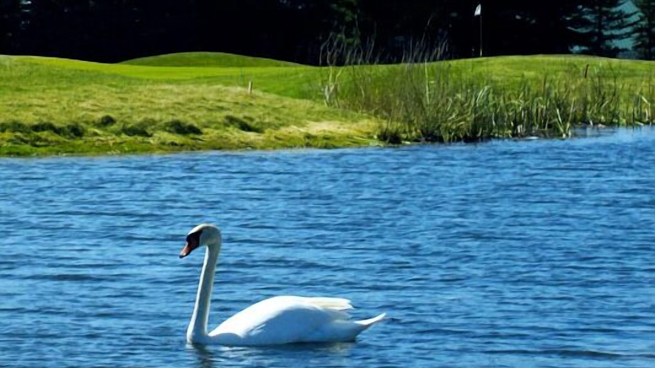 Photo of Outdoor in Gowen