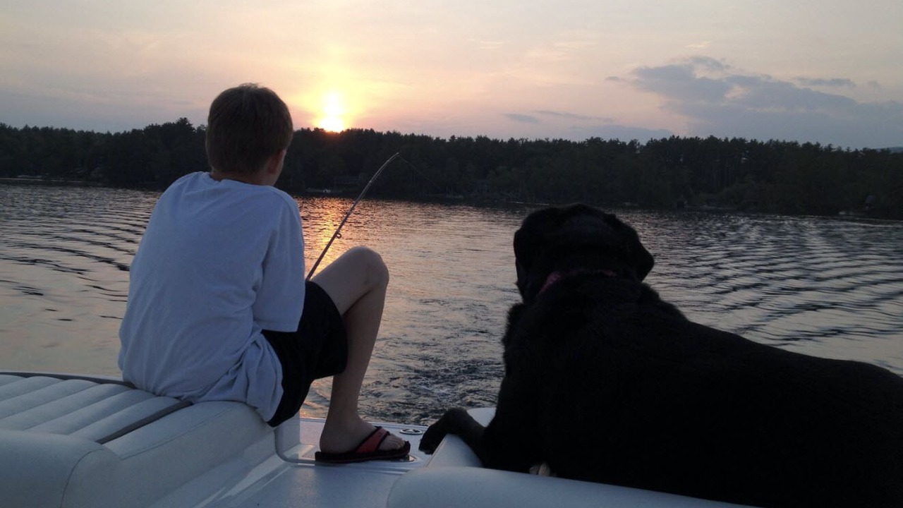 Photo of Others in Moultonborough