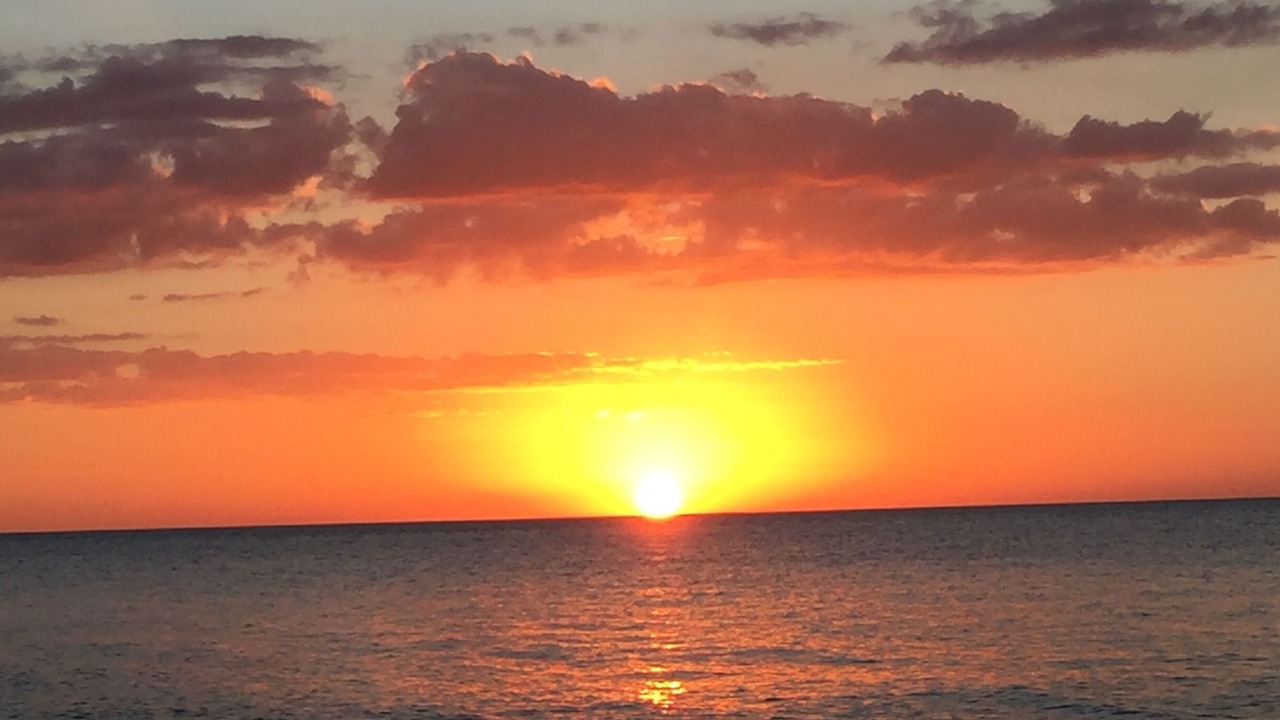 Photo of Others in Marco Island