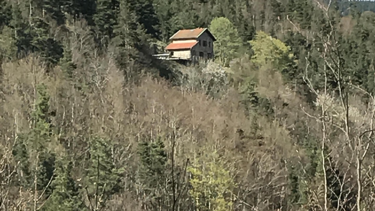 Photo of Outdoor in Rochepaule