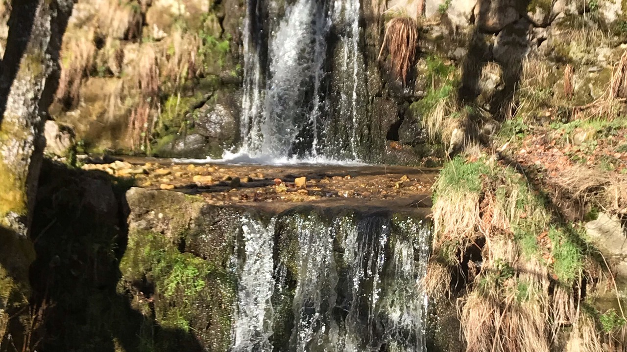 Photo of Outdoor in Rochepaule